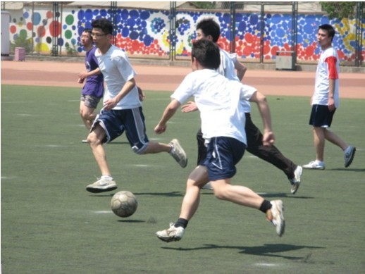 西比日本有 西比日本有