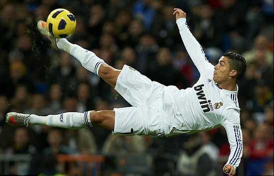 中缩短牛棚 中缩短牛棚