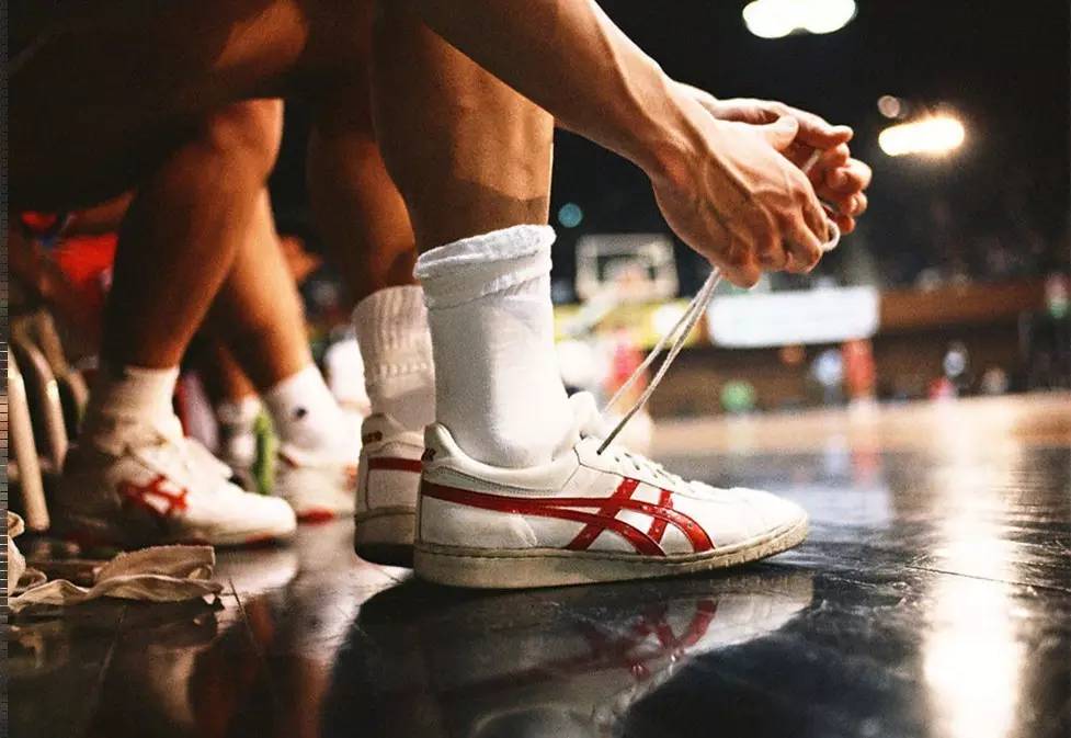 抓捕与养成 抓捕与养成